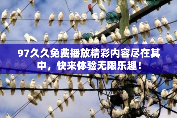 97久久免费播放精彩内容尽在其中，快来体验无限乐趣！