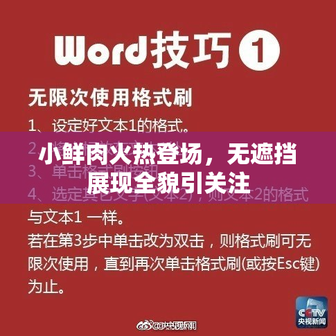 小鲜肉火热登场，无遮挡展现全貌引关注