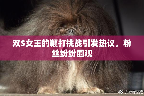 双S女王的鞭打挑战引发热议，粉丝纷纷围观