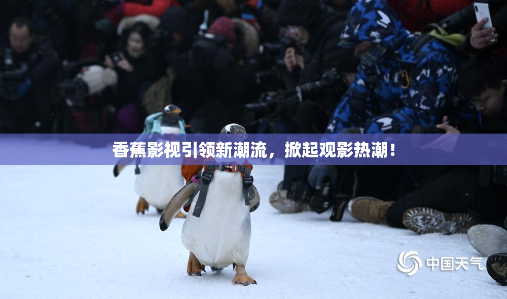香蕉影视引领新潮流，掀起观影热潮！