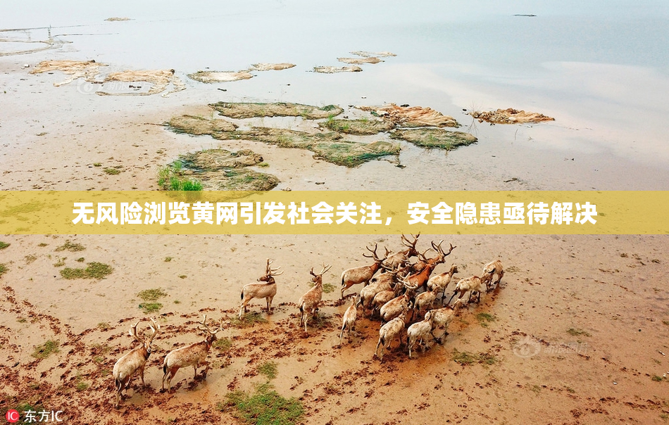 无风险浏览黄网引发社会关注，安全隐患亟待解决