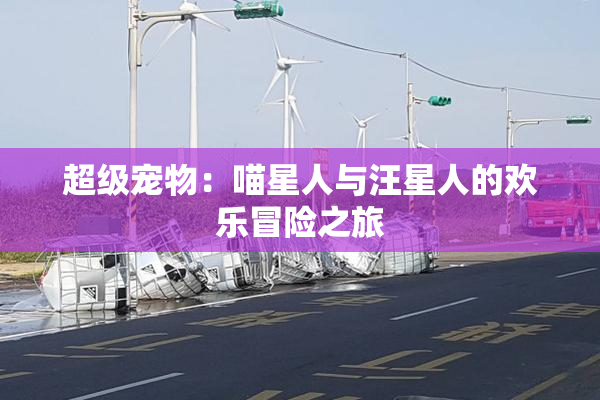 超级宠物：喵星人与汪星人的欢乐冒险之旅
