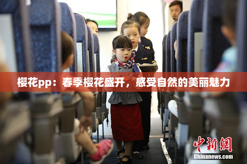 樱花pp：春季樱花盛开，感受自然的美丽魅力