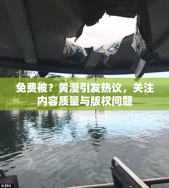 免费被？黄漫引发热议，关注内容质量与版权问题