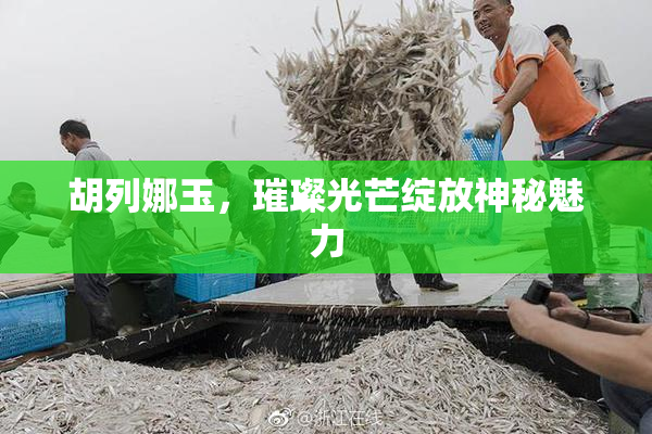 胡列娜玉，璀璨光芒绽放神秘魅力