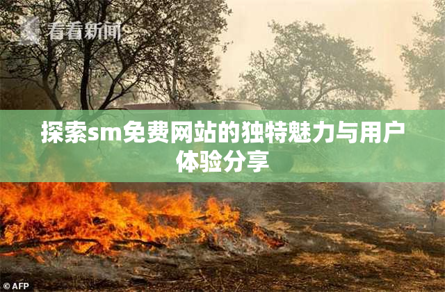 探索sm免费网站的独特魅力与用户体验分享