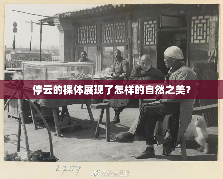 停云的裸体展现了怎样的自然之美？