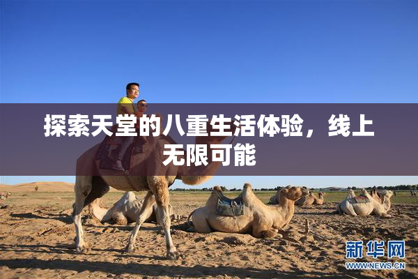探索天堂的八重生活体验，线上无限可能