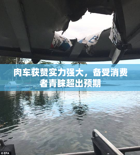 肉车获赞实力强大，备受消费者青睐超出预期