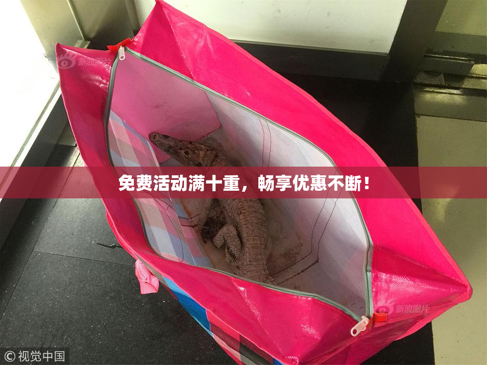 免费活动满十重，畅享优惠不断！