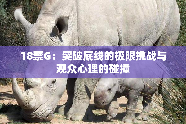 18禁G：突破底线的极限挑战与观众心理的碰撞
