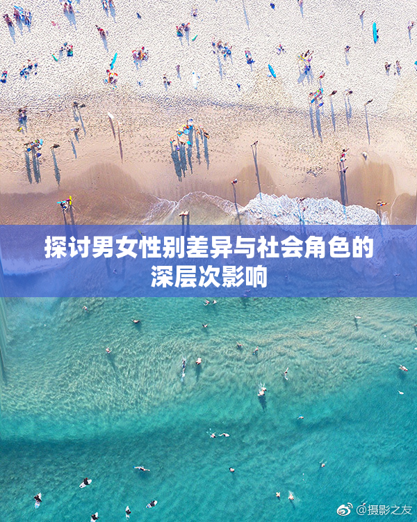 探讨男女性别差异与社会角色的深层次影响