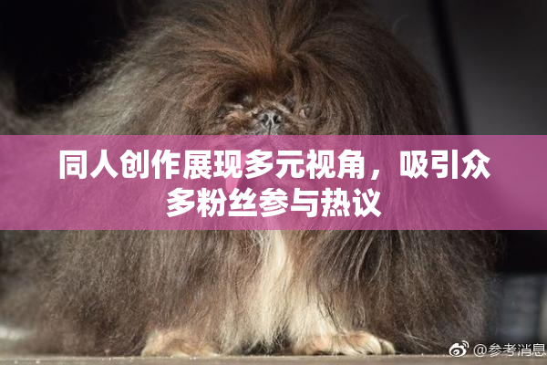 同人创作展现多元视角，吸引众多粉丝参与热议