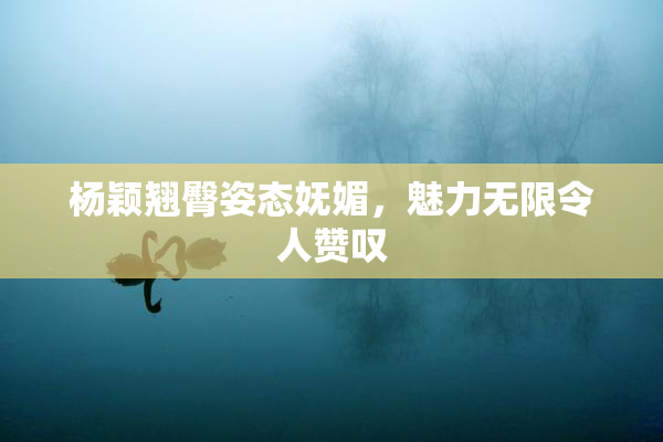 杨颖翘臀姿态妩媚，魅力无限令人赞叹