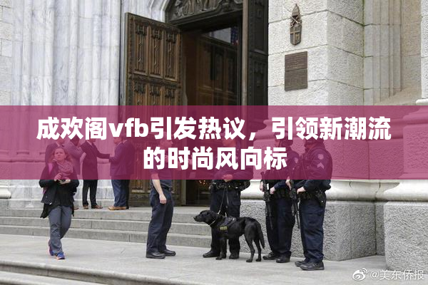 成欢阁vfb引发热议，引领新潮流的时尚风向标