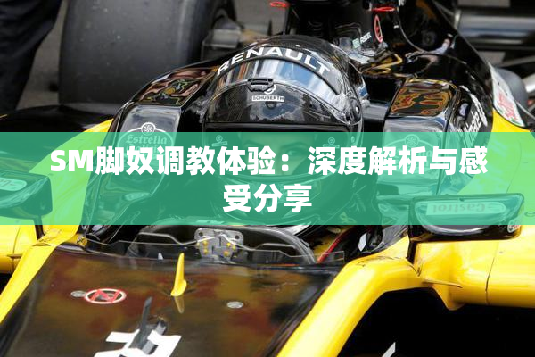 SM脚奴调教体验：深度解析与感受分享