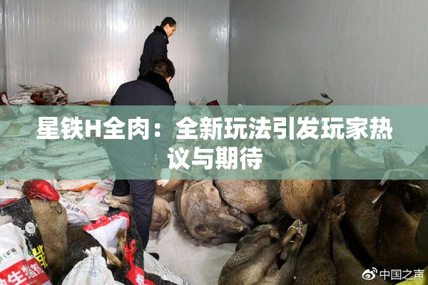 星铁H全肉：全新玩法引发玩家热议与期待
