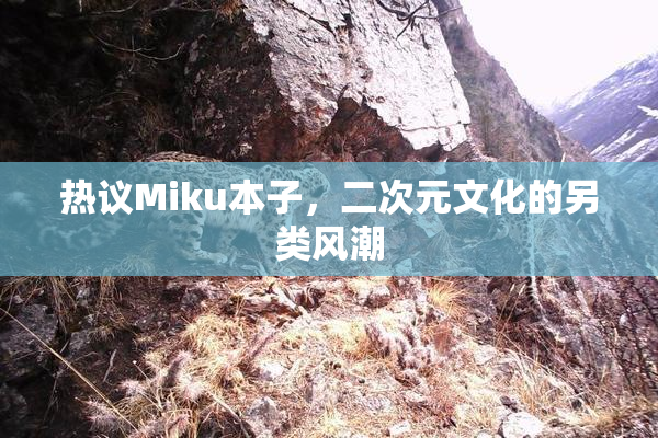 热议Miku本子，二次元文化的另类风潮