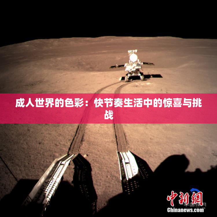 成人世界的色彩：快节奏生活中的惊喜与挑战