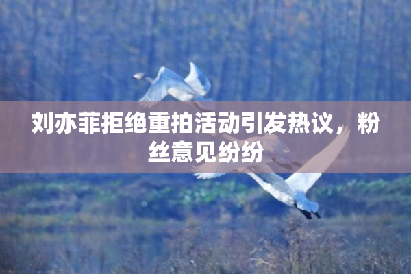 刘亦菲拒绝重拍活动引发热议，粉丝意见纷纷