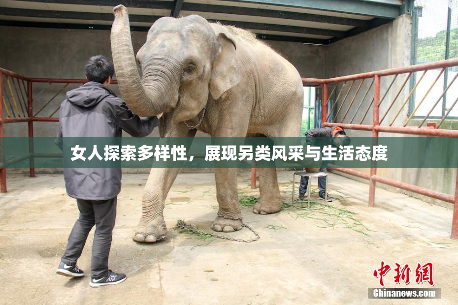 女人探索多样性，展现另类风采与生活态度