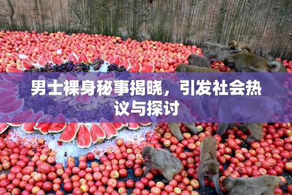 男士裸身秘事揭晓，引发社会热议与探讨
