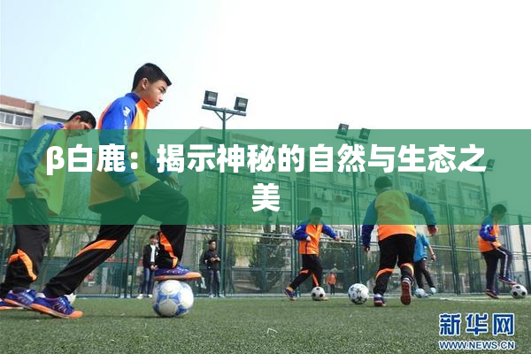 β白鹿：揭示神秘的自然与生态之美