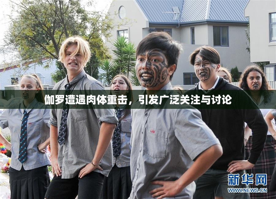 伽罗遭遇肉体重击，引发广泛关注与讨论