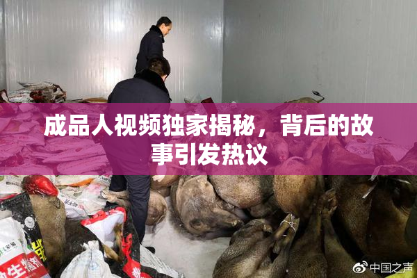 成品人视频独家揭秘，背后的故事引发热议
