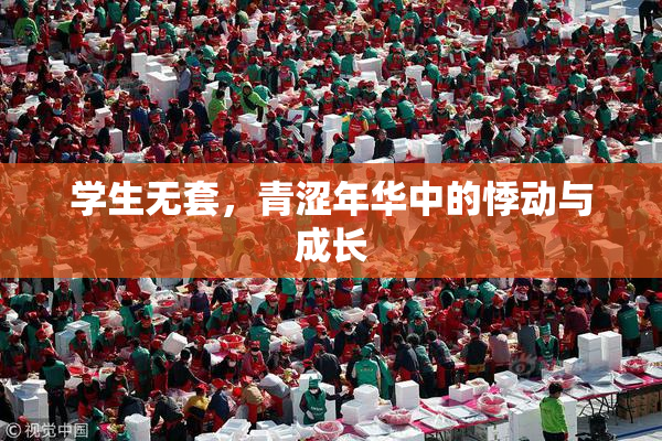 学生无套，青涩年华中的悸动与成长