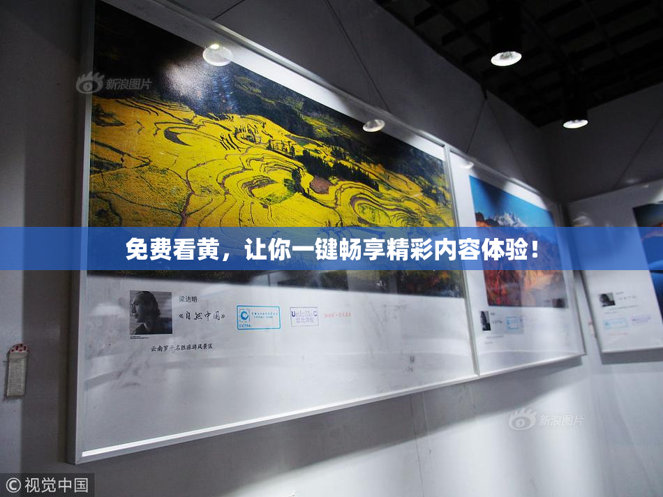 免费看黄，让你一键畅享精彩内容体验！