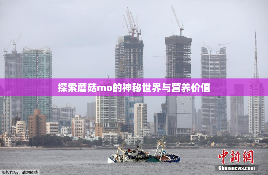 探索蘑菇mo的神秘世界与营养价值