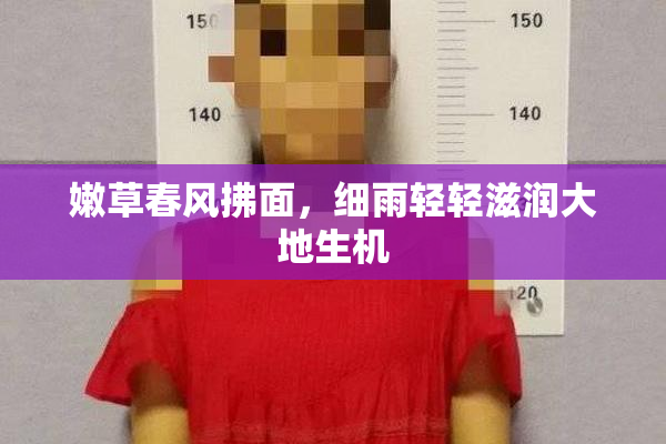 嫩草春风拂面，细雨轻轻滋润大地生机