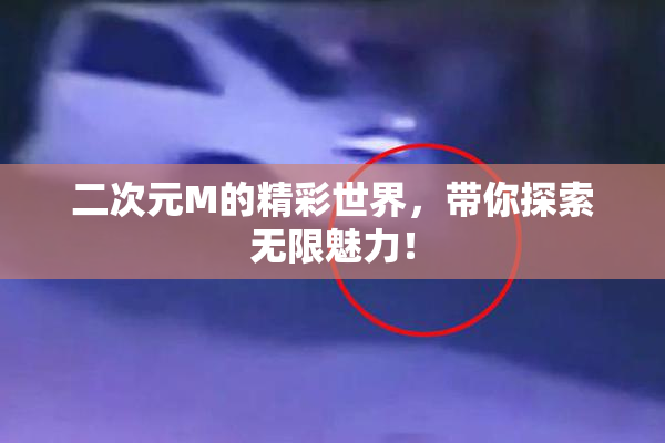 二次元M的精彩世界，带你探索无限魅力！