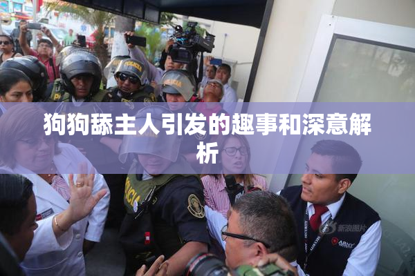 狗狗舔主人引发的趣事和深意解析