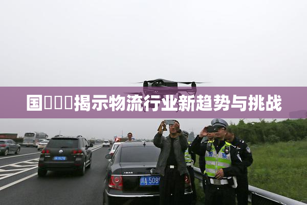 国產梱綁揭示物流行业新趋势与挑战