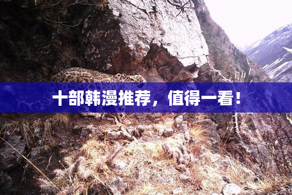 十部韩漫推荐，值得一看！