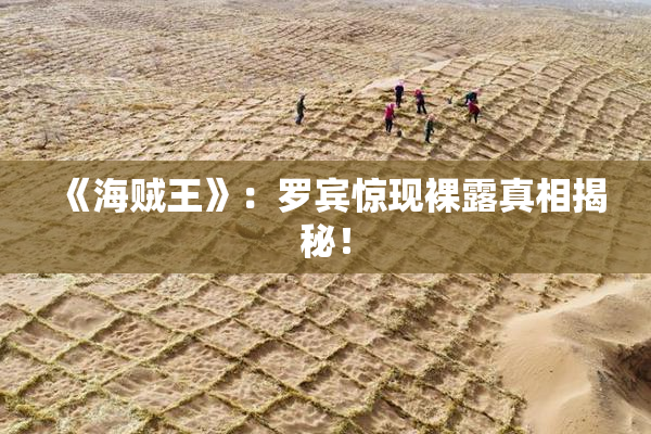 《海贼王》：罗宾惊现裸露真相揭秘！