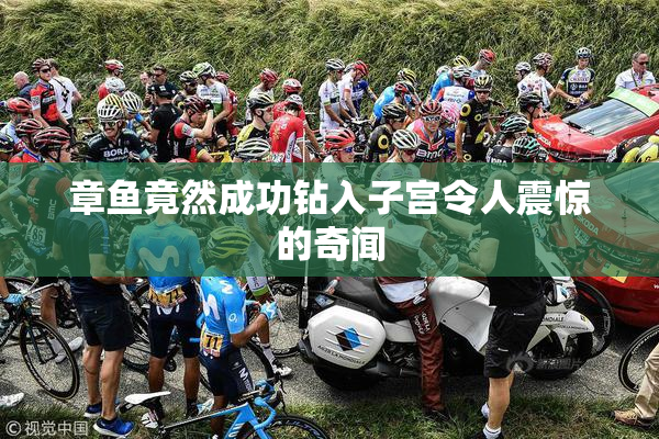 章鱼竟然成功钻入子宫令人震惊的奇闻