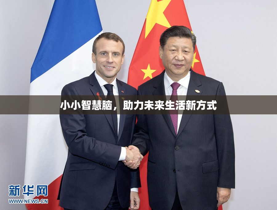 小小智慧脑，助力未来生活新方式