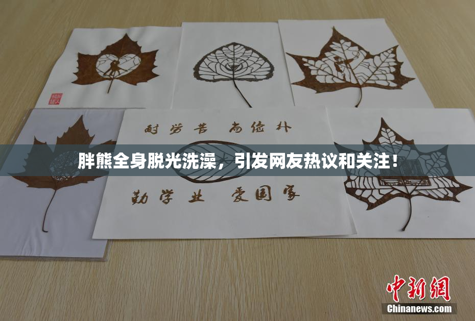 胖熊全身脱光洗澡，引发网友热议和关注！