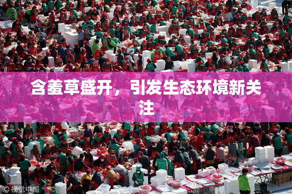 含羞草盛开，引发生态环境新关注