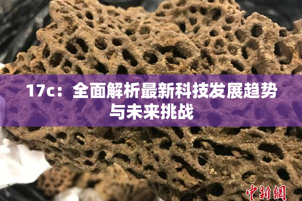 17c：全面解析最新科技发展趋势与未来挑战