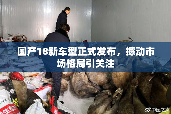 国产18新车型正式发布，撼动市场格局引关注
