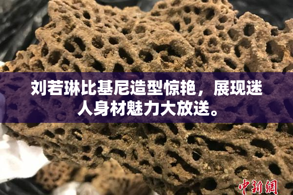 刘若琳比基尼造型惊艳，展现迷人身材魅力大放送。