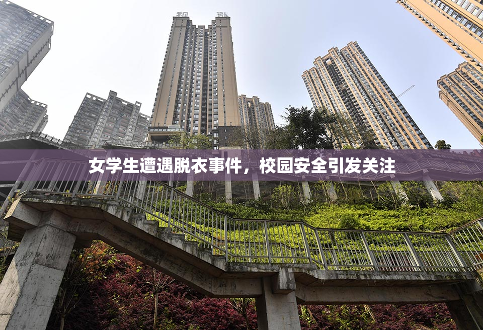女学生遭遇脱衣事件，校园安全引发关注
