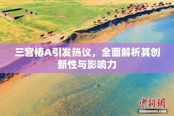 三宫椿A引发热议，全面解析其创新性与影响力