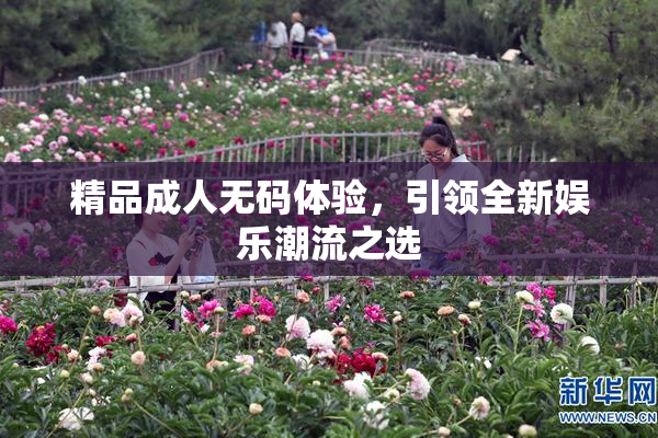 精品成人无码体验，引领全新娱乐潮流之选
