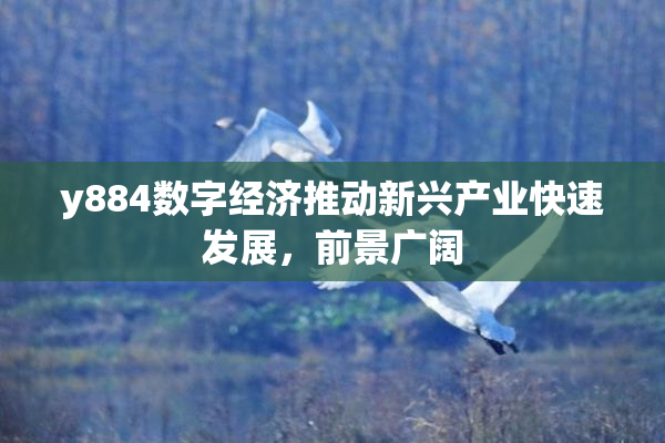 y884数字经济推动新兴产业快速发展，前景广阔