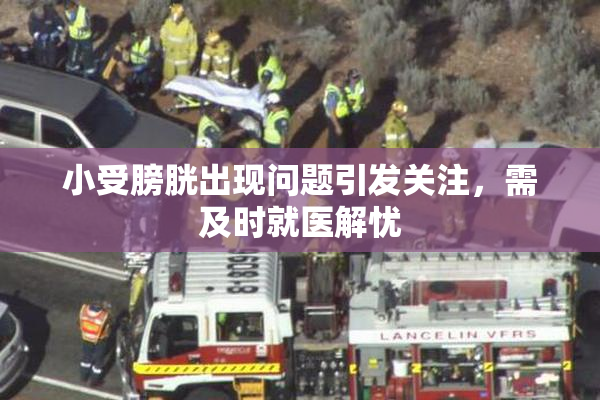 小受膀胱出现问题引发关注，需及时就医解忧